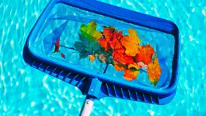 Skimmer net collecting leaves from a clear blue swimming pool